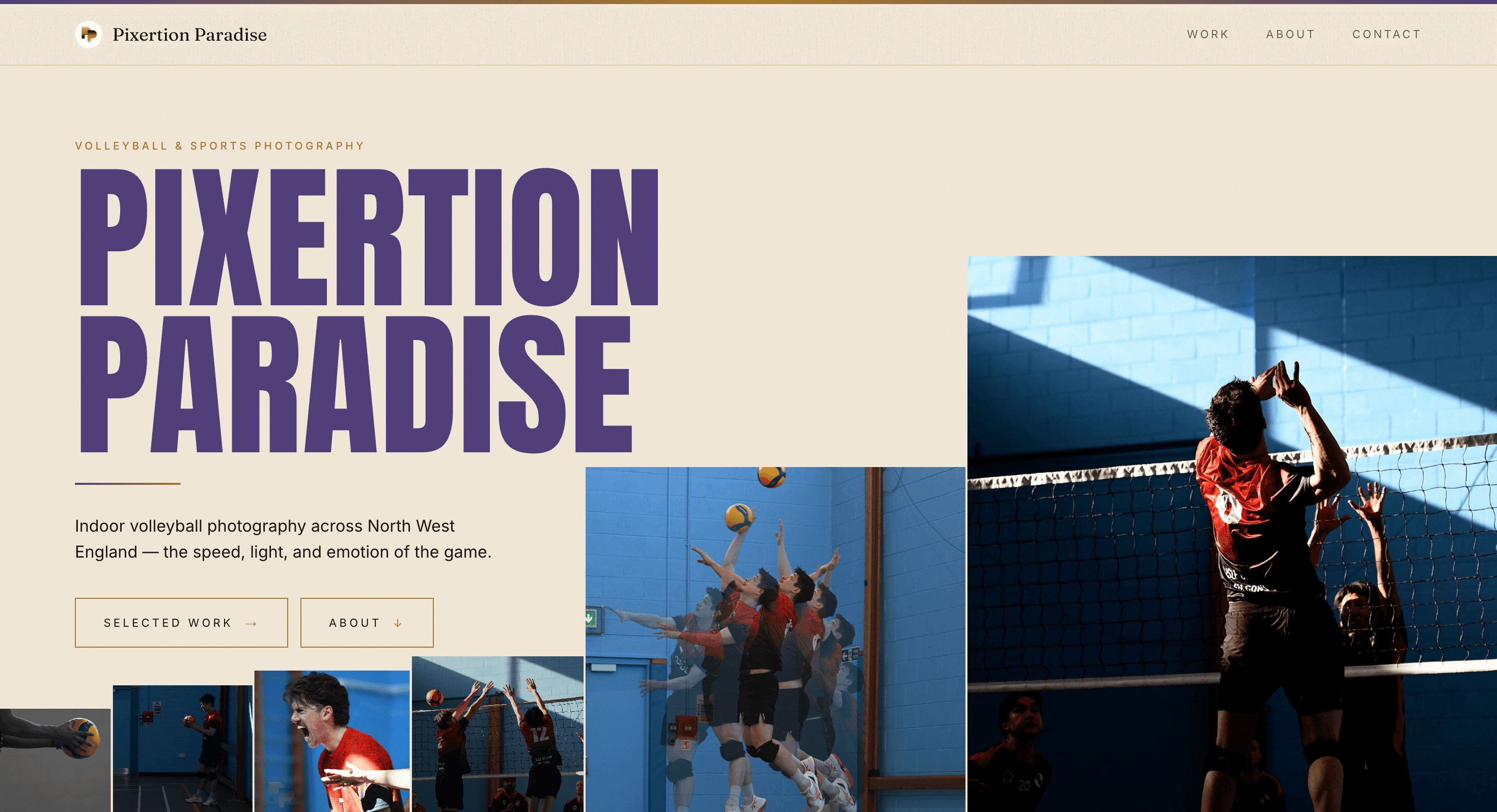 Pixertion Paradise — 'PIXERTION PARADISE' stacked in bold plum type over warm paper, with a belt of indoor volleyball photography along the bottom